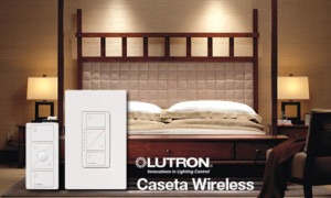 Lutron Caseta Wireless Remote