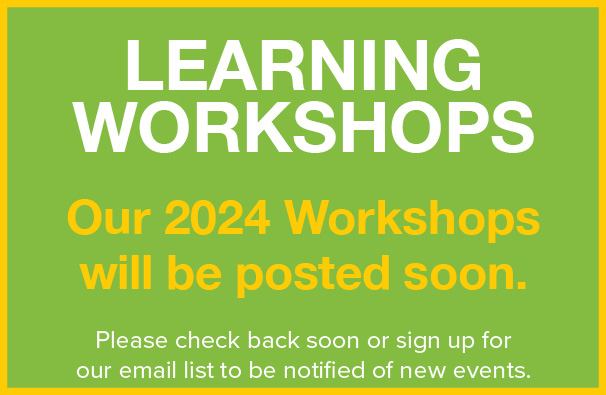 Learning workshops